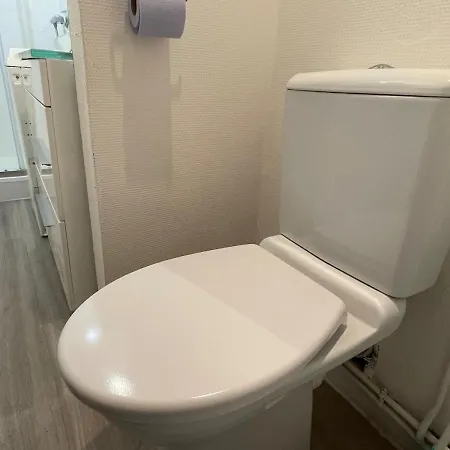 Apartment Le Bois Joli 3, 2 Etoiles, Wifi Et Parking, Animaux Bienvenus Le Mont-Dore