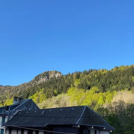 Le Bois Joli 3, 2 Etoiles, Wifi Et Parking, Animaux Bienvenus *